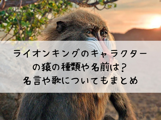 ライオンキングのキャラクターの猿の種類や名前は 名言や歌についてもまとめ わたしライフ