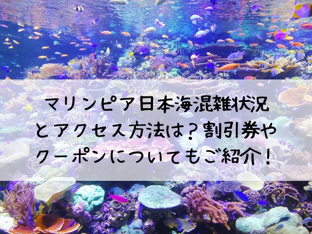 マリンピア日本海混雑状況とアクセス方法は？割引券やクーポンについてもご紹介！